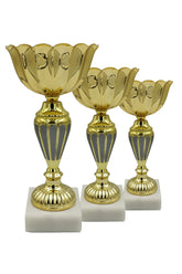 CTS 096 | SET de 3 Cupe Sportive - TrophyShop